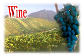 Austrian Wine Tour
