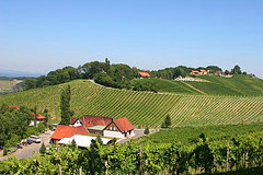 wine country Austria