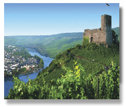 Burg Landshut Castle on the River Rhine