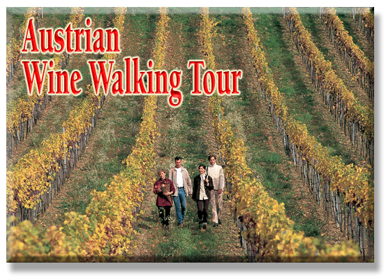 Austrian Wine Walking Tour